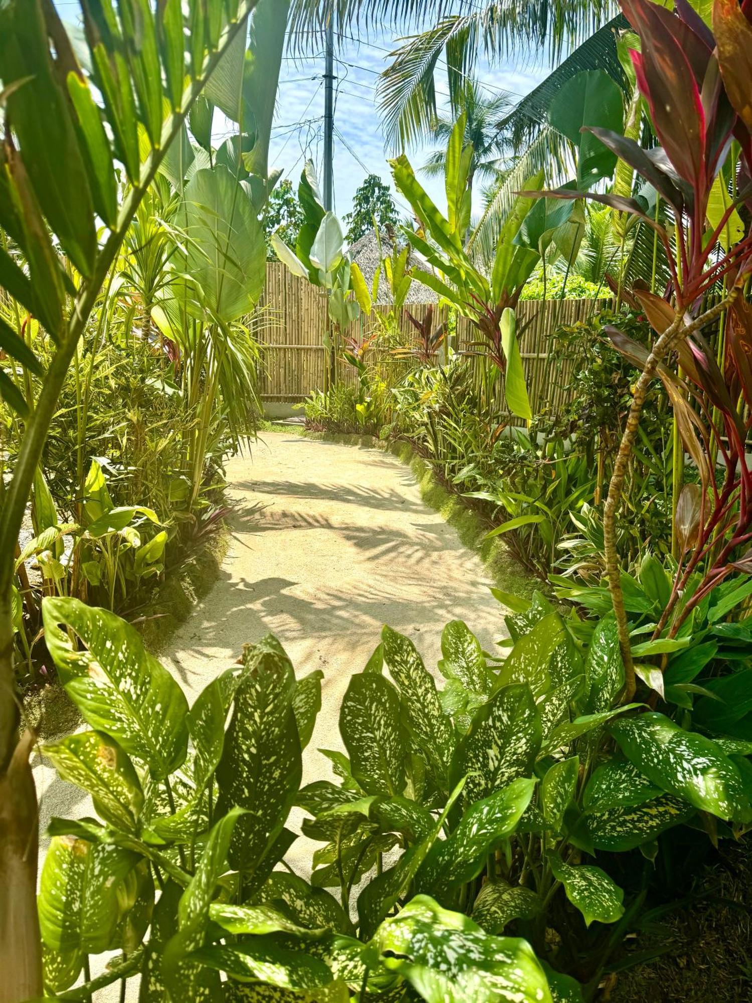 Villa Pura Vida Apartments Siargao General Luna  Eksteriør bilde